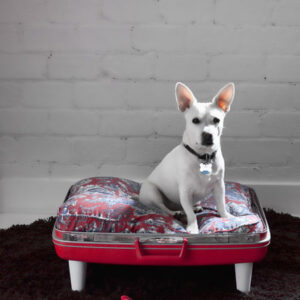 10 Repurposed Items for Decorating on a Budget Image